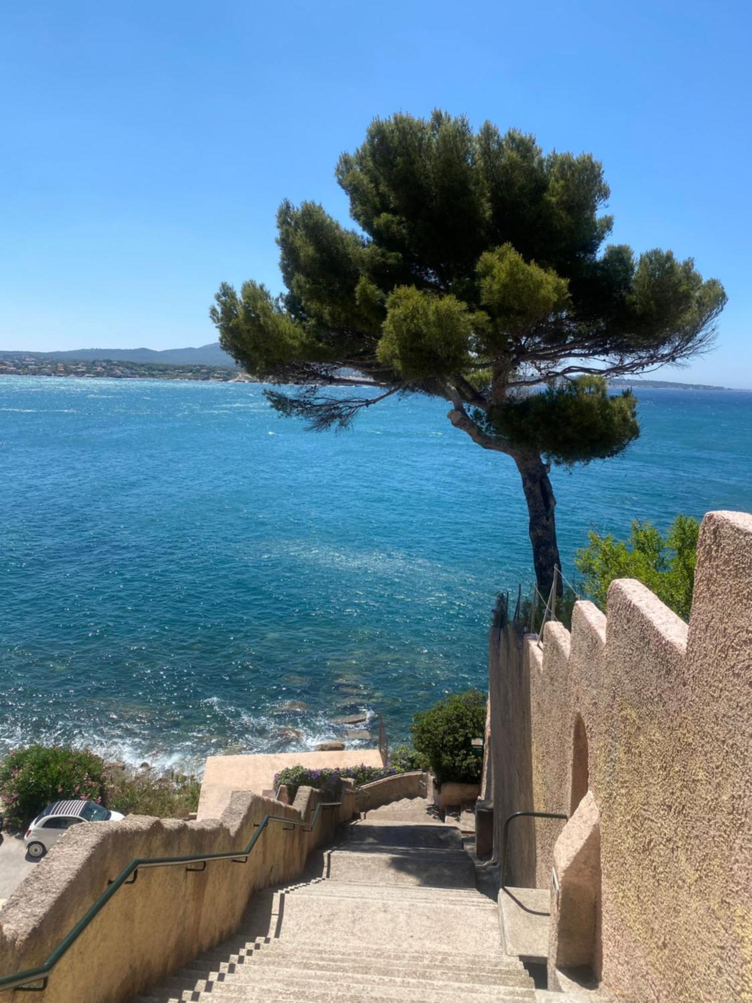 Casa Paloma Apartment Sanary-sur-Mer Exterior photo